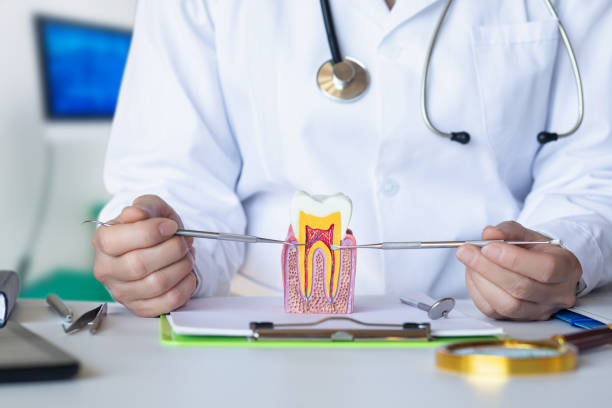 Best Weekend Emergency Dentist in Steep Falls, ME